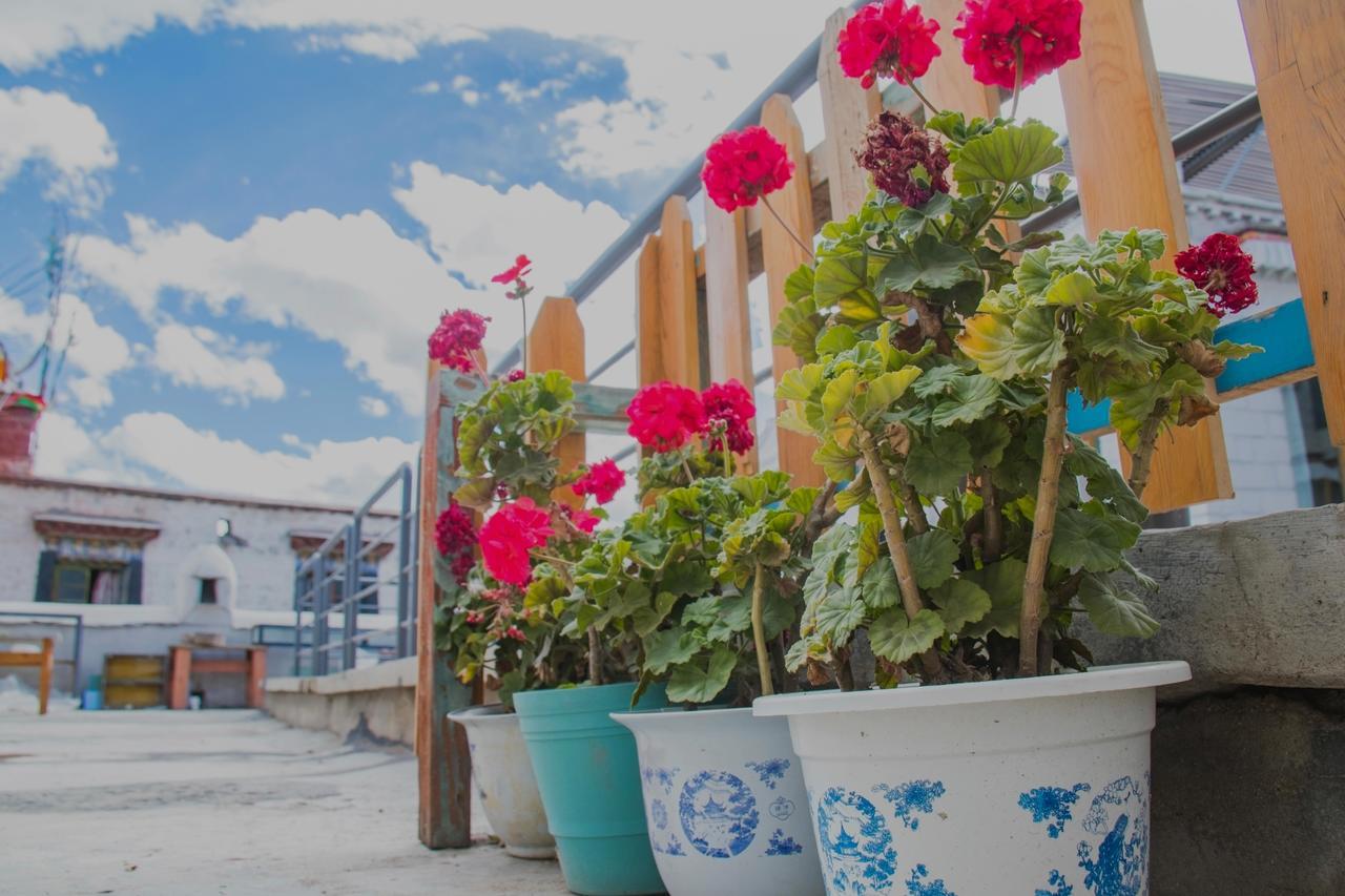 Fengma Feiyang Hostel 라사 외부 사진