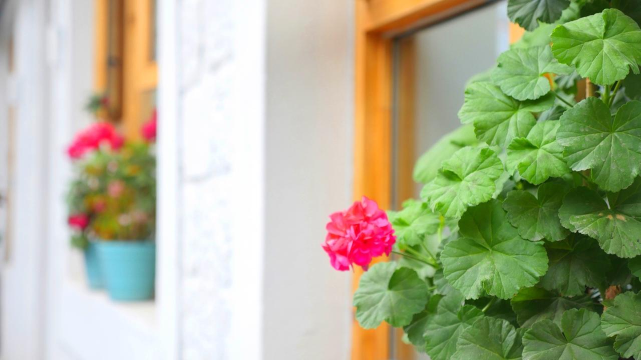 Fengma Feiyang Hostel 라사 외부 사진